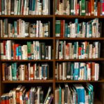 Vibrant library scene featuring wooden bookshelves filled with various books.